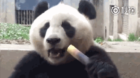 这竹笋皮扒的轻车熟路,看得我都饿了!